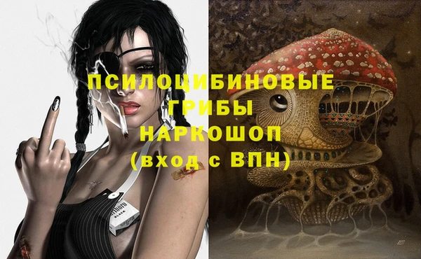 молекула духа Магас