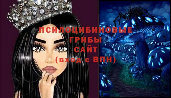 спиды Ачинск