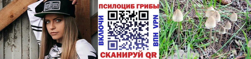 Псилоцибиновые грибы мухоморы  Елизаветинская 